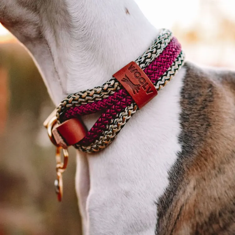 Collar de paracord 4